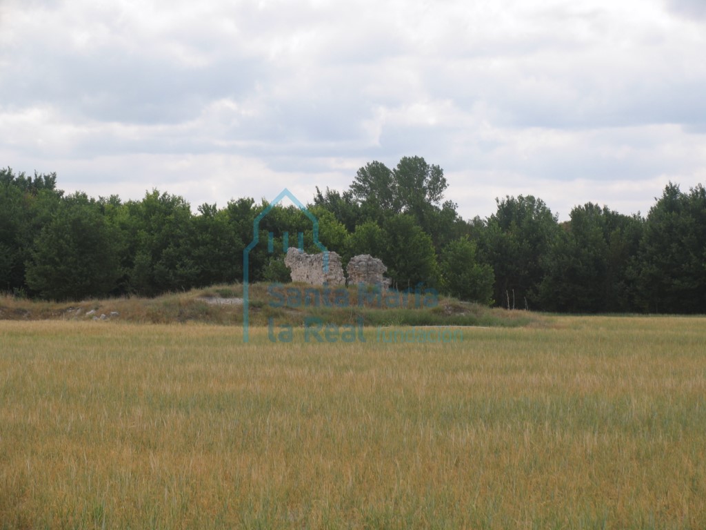 Panorámica de las ruinas