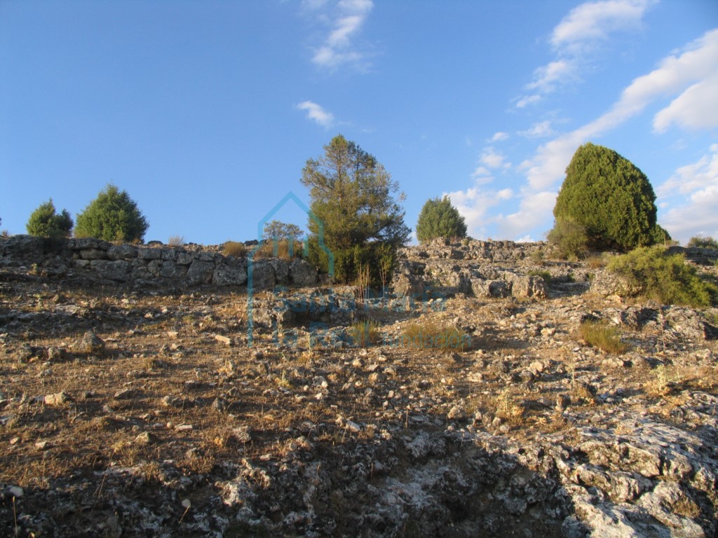 Panorámica del lugar