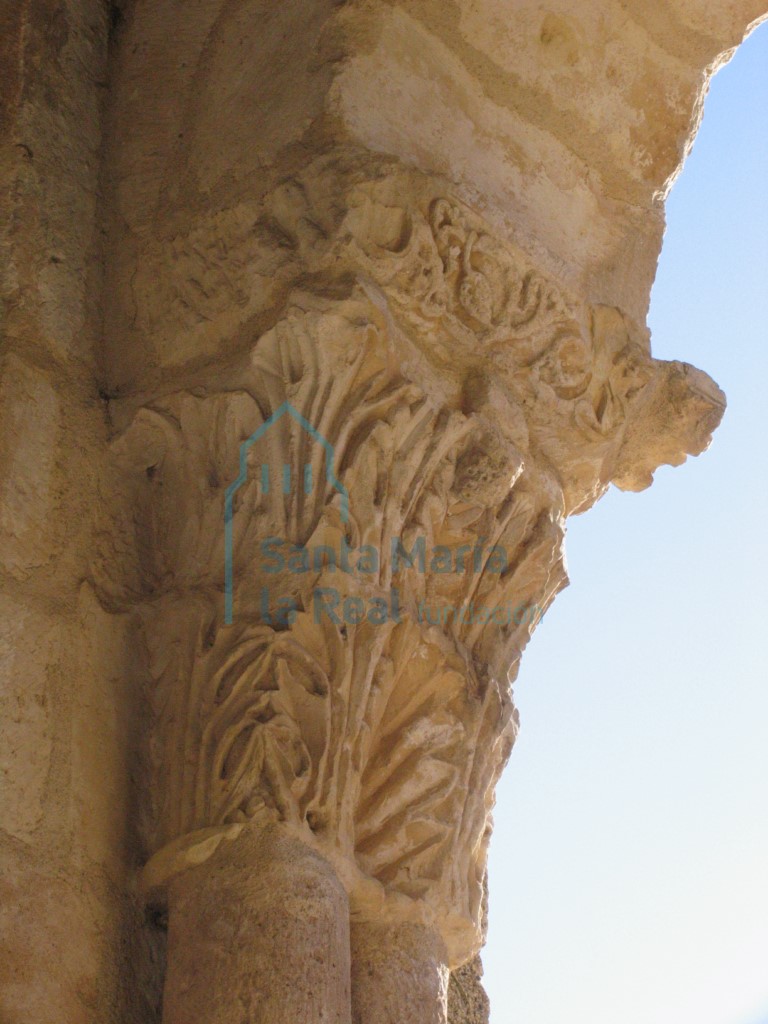 Capitel del pórtico. Hojas de acanto dispuestas en dos filas
