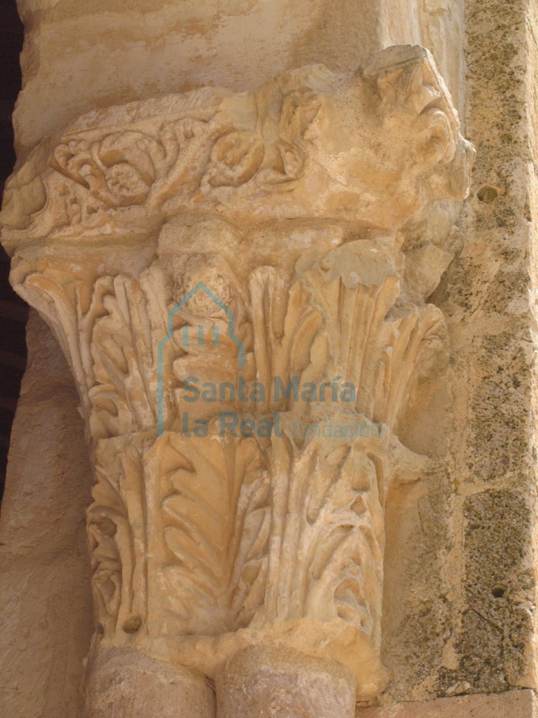 Capitel del pórtico. Hojas de acanto dispuestas en dos filas Capitel del pórtico. Hojas de acanto dispuestas en dos filas