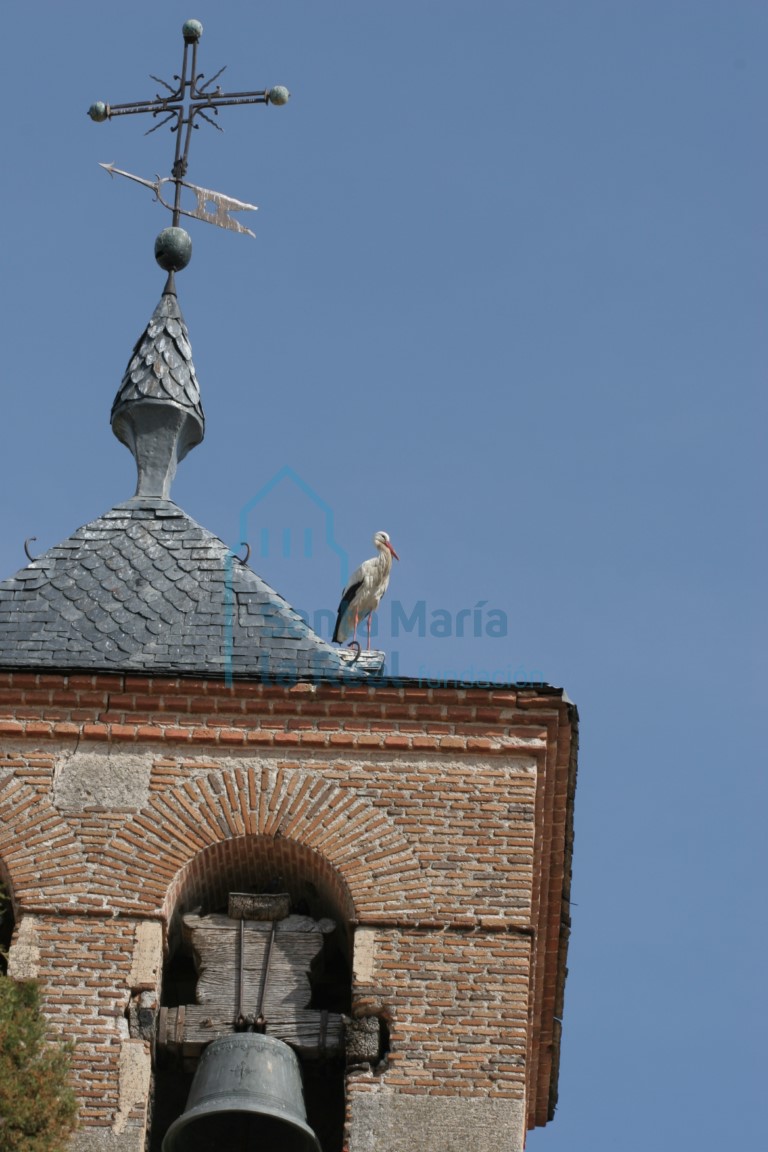 Torre