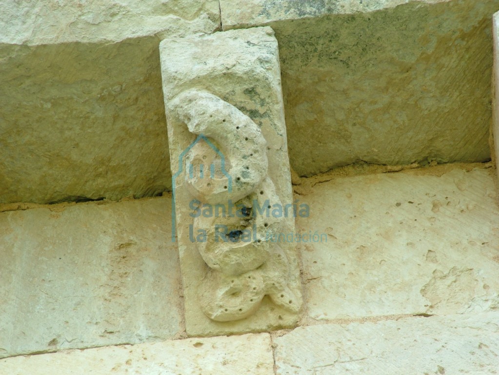 Canecillo figura de una serpiente de la portada septentrional