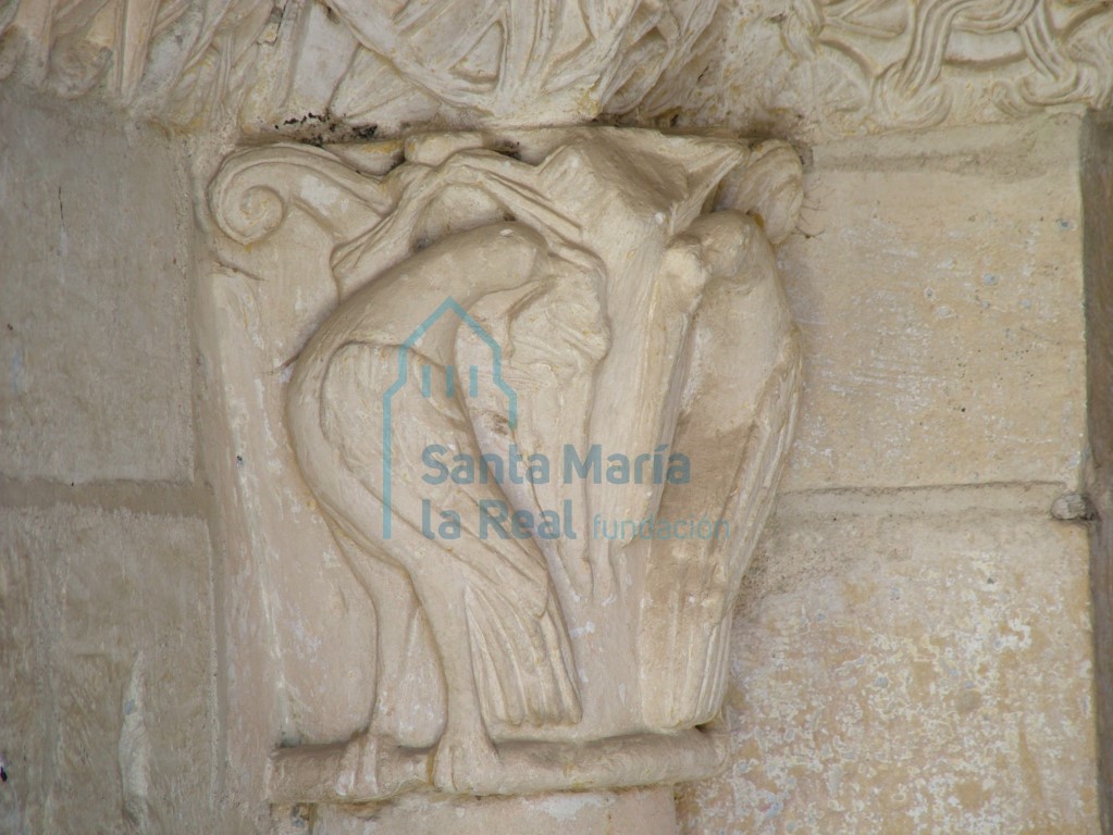 Capitel izquierdo con palomas de la portada meridional