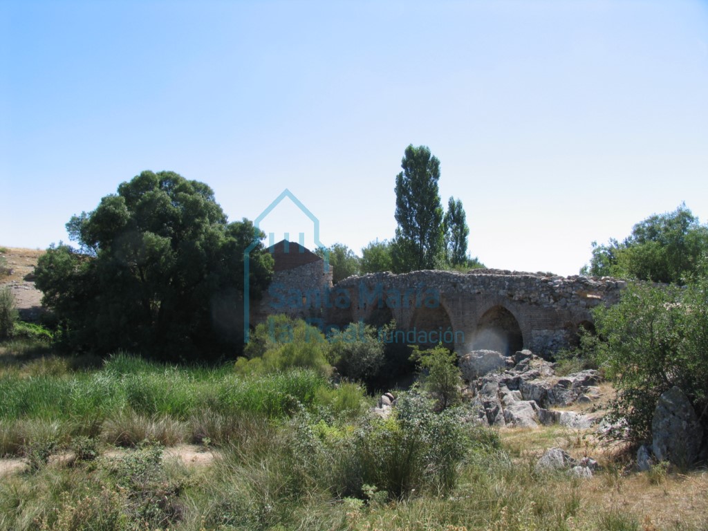 Vista del puente