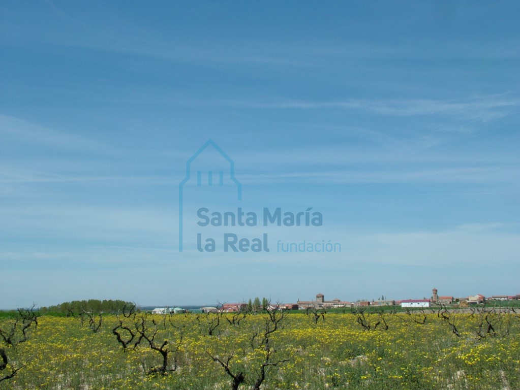 Panorámica