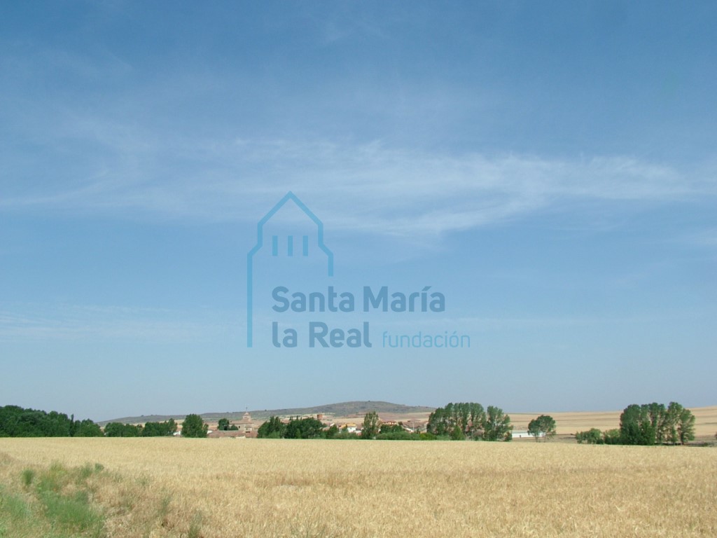 Vista general