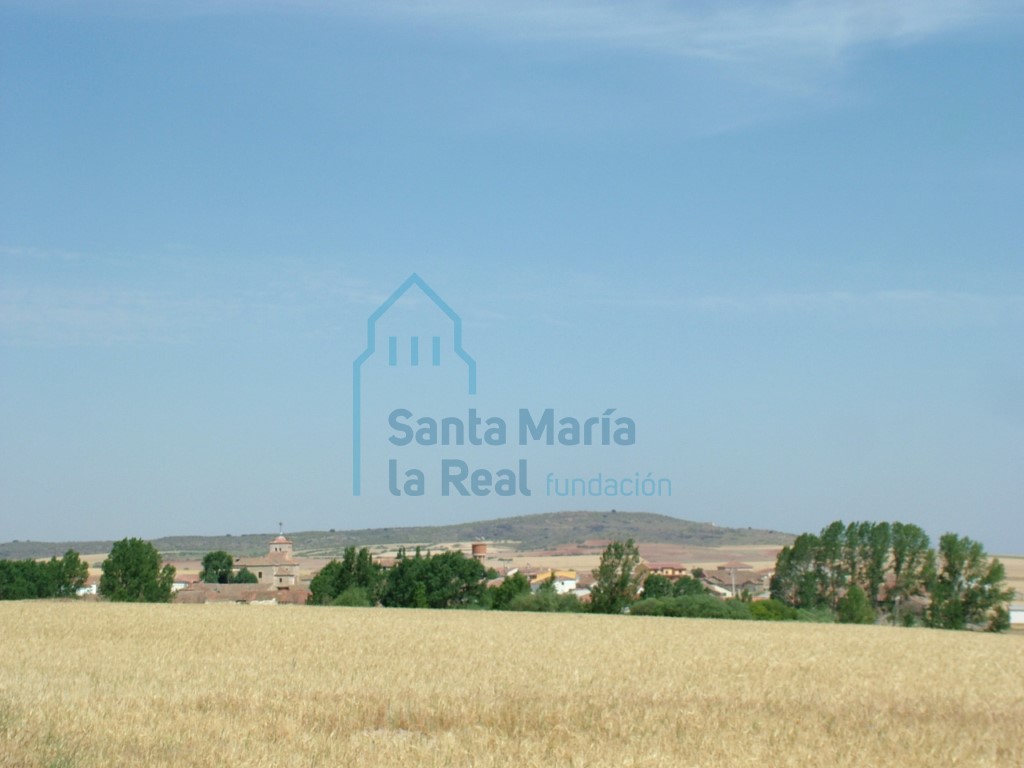 Vista general