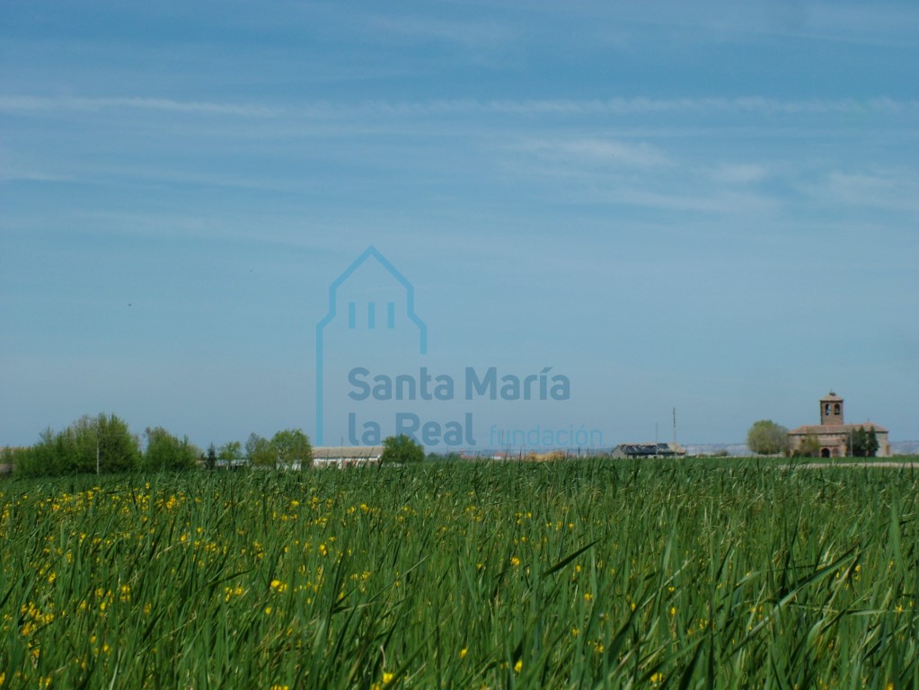 Vista panorámica