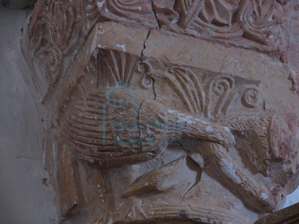 Capitel del arco triunfal en el lado de la epístola, representa dos aves con los cuellos entrelazados y que se picotean sus patas delanteras