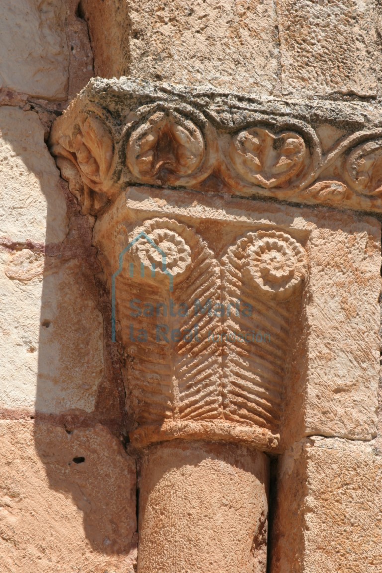 Capitel vegetal de la arquería desde el exterior