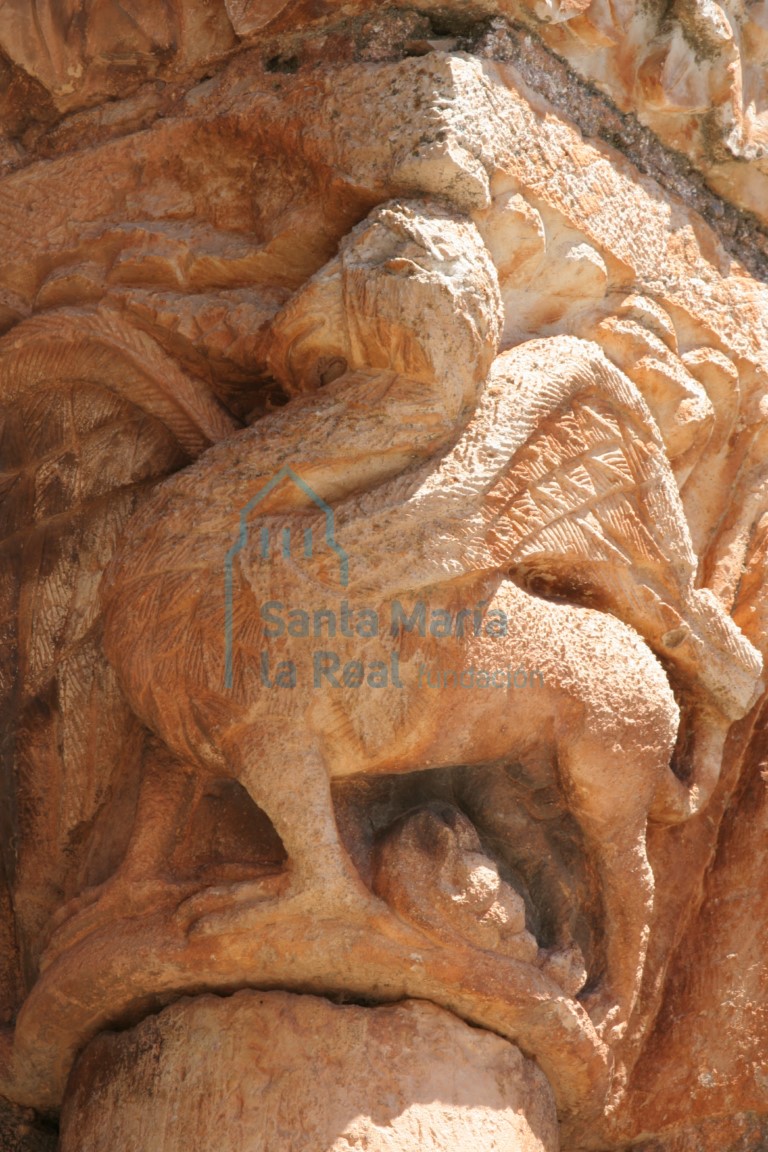 Detalle de un grifo del capitel de la portada de la galería Detalle de un grifo del capitel de la portada de la galería