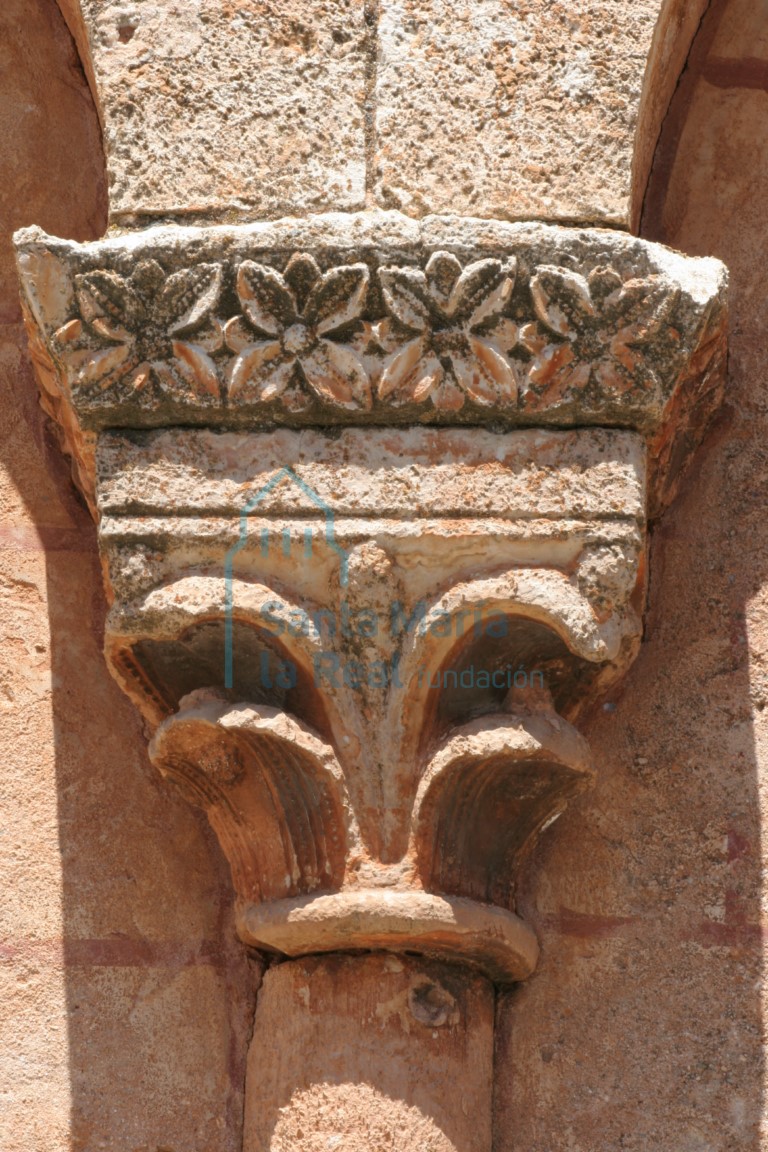 Capitel vegetal de la arquería desde el exterior