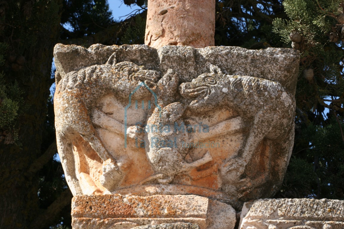 Capitel reutilizado en el muro del cementerio, en el que se representan dos leones comiendo un jabali