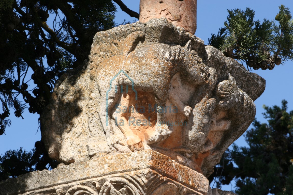 Capitel reutilizado en el muro del cementerio, con representación de dos leones comiendo un jabalí