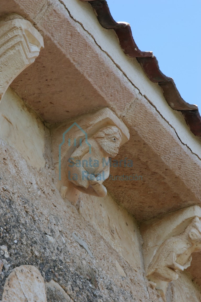 Canecillos del muro meridional de la nave