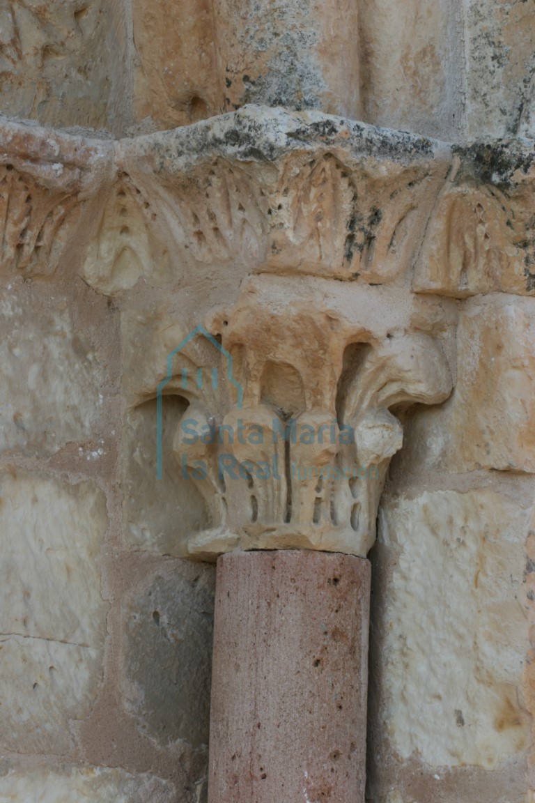 Capitel vegetal del lado derecho de la portada meridional