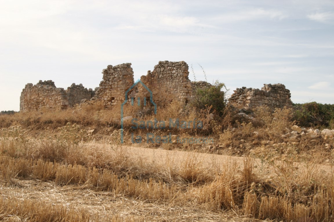 Vista de los restos del templo