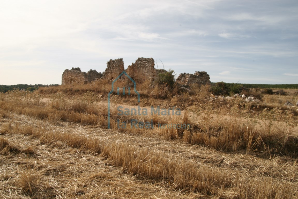 Vista de los restos del templo