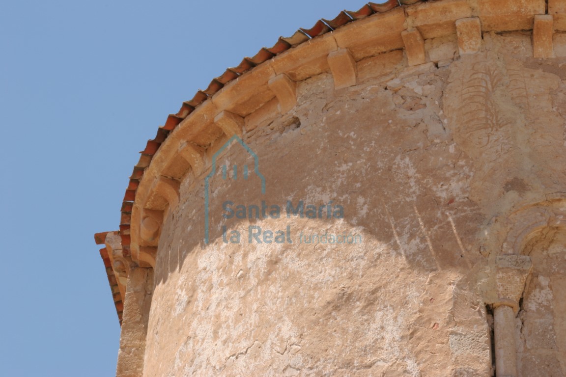 Canes de la cabecera