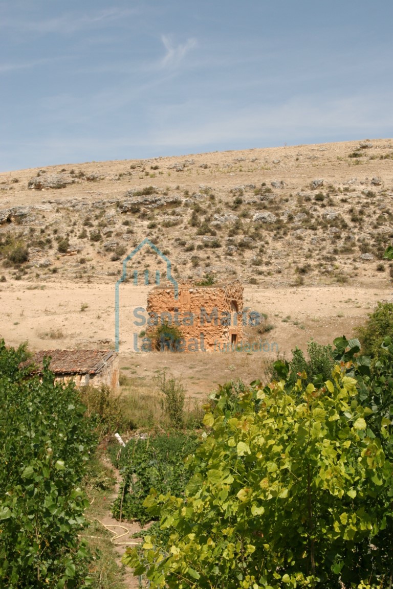 Panorámica de las ruinas