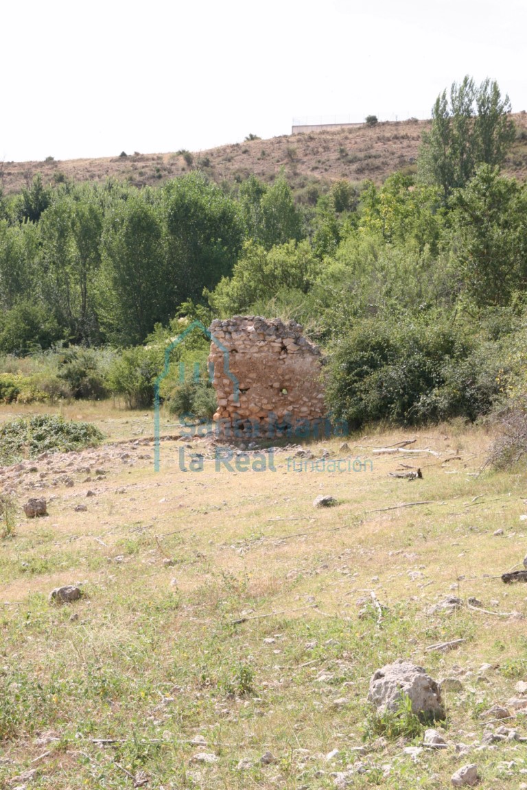Ruinas de San Millán