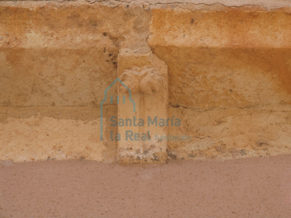 Canecillo con motivo vegetal en la cornisa del muro septentrional