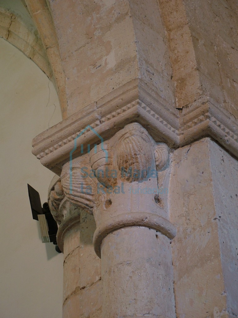 Capitel con decoración de conchas en las esquinas, del arco triunfal