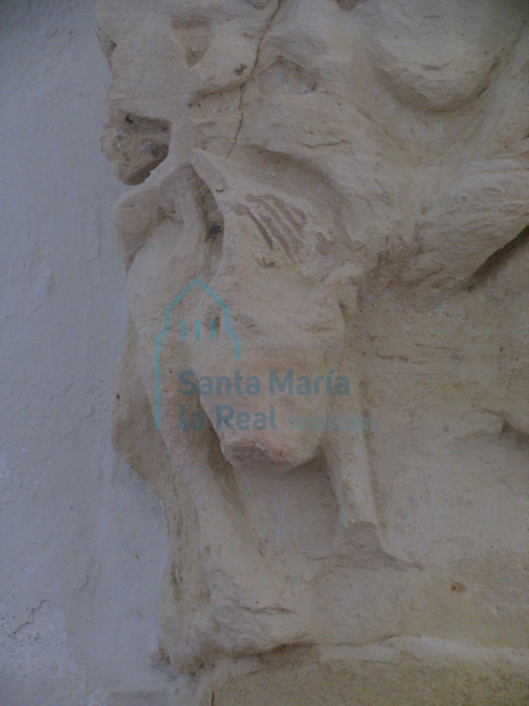 Detalle de capitel,animal