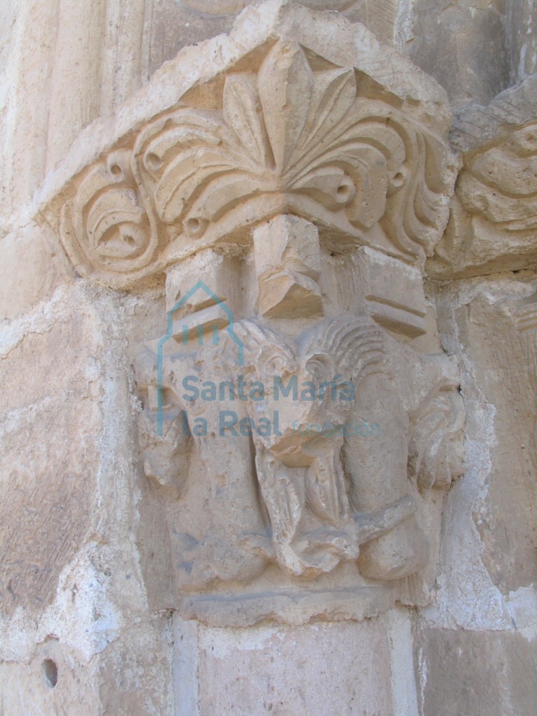 Capitel exterior este de la portada septentrional. Cuadrúpedos