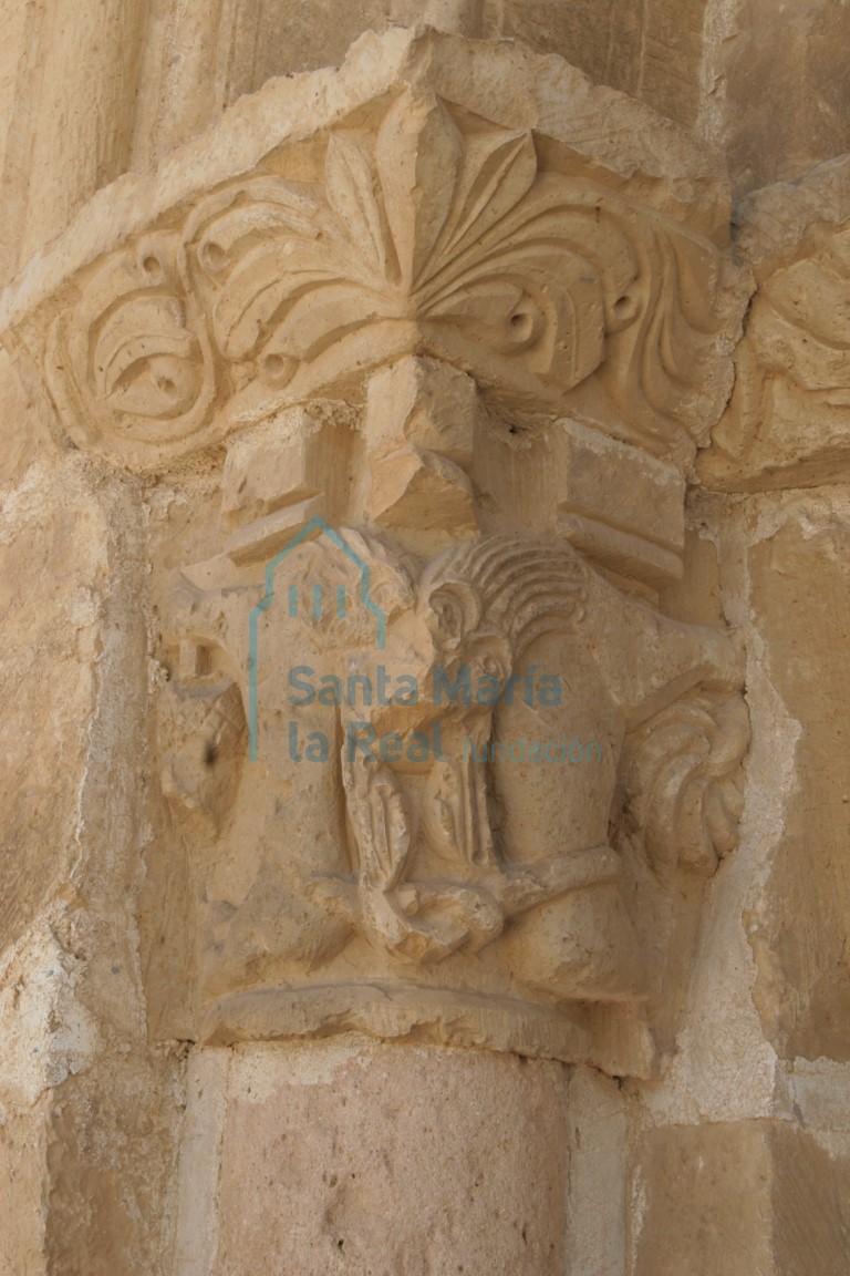 Capitel exterior este de la portada septentrional. Cuadrúpedos
