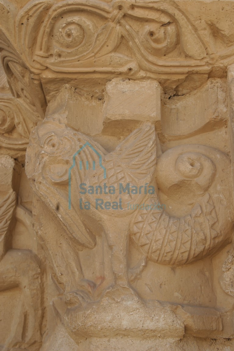 Detalle del capitel exterior oeste de la portada septentrional. cuadrúpedo con cabeza de ave, alas y cola de serpiente Detalle del capitel exterior oeste de la portada septentrional. cuadrúpedo con cabeza de ave, alas y cola de serpiente