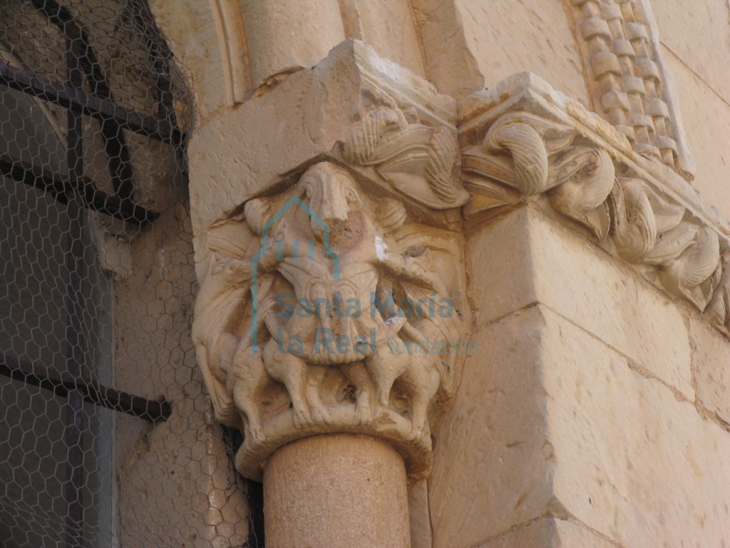 Capitel derecho de la ventana central del ábside. Grifos entrelazados