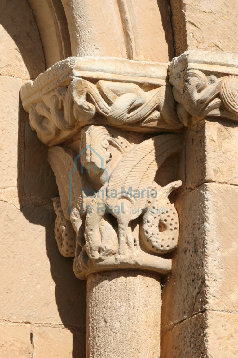 Capitel de la ventana sur del ábside. Pareja de arpías con los cuellos entrelazados