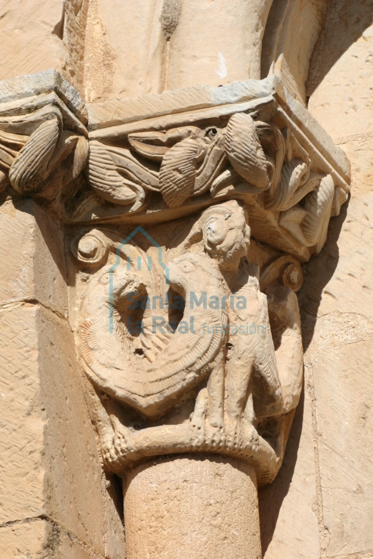 Capitel de la ventana sur del ábside. Pareja de aves afrontadas