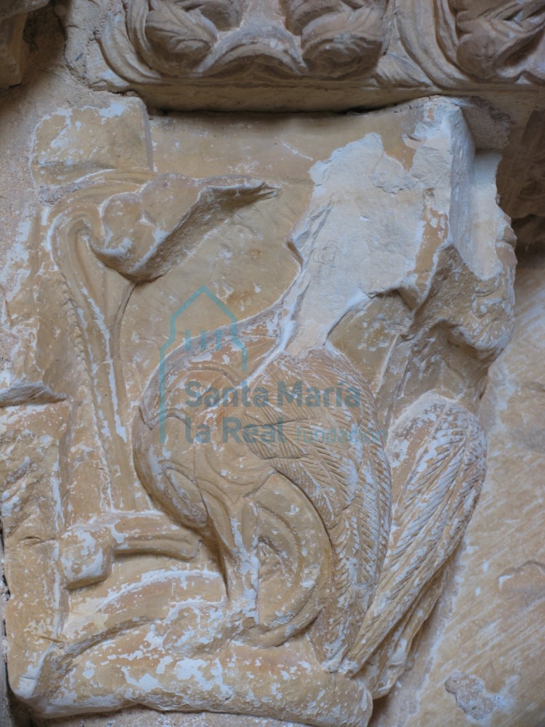 Detalle de una arpía a la que le falta la cabeza en el capitel interior del lado izquierdo de la portada meridional