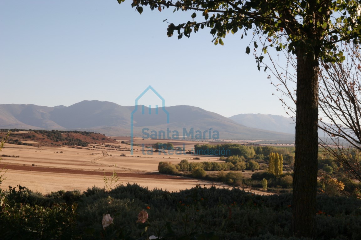 Panorámica