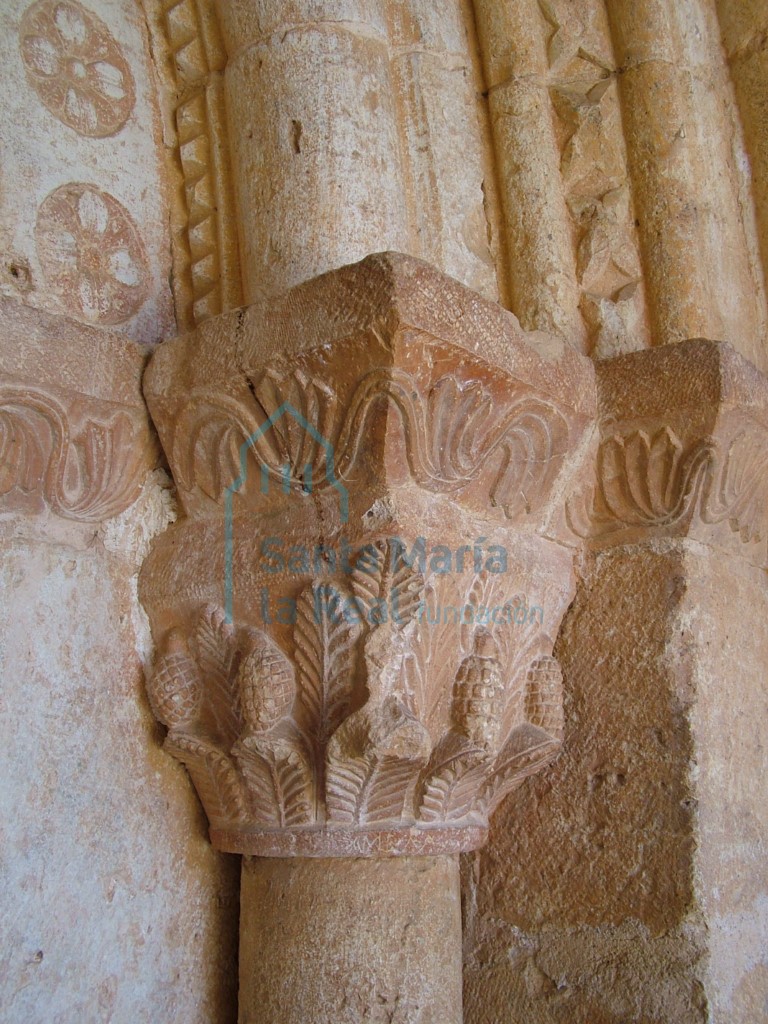 Capitel con hojas de acnato y piñas en la portada