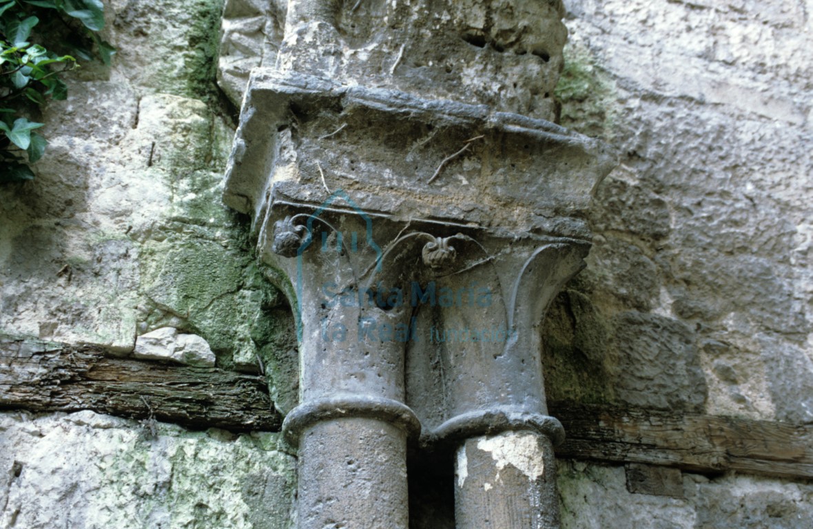 Capiteles de las columnas de las arquerías del claustro. Motivos vegetales