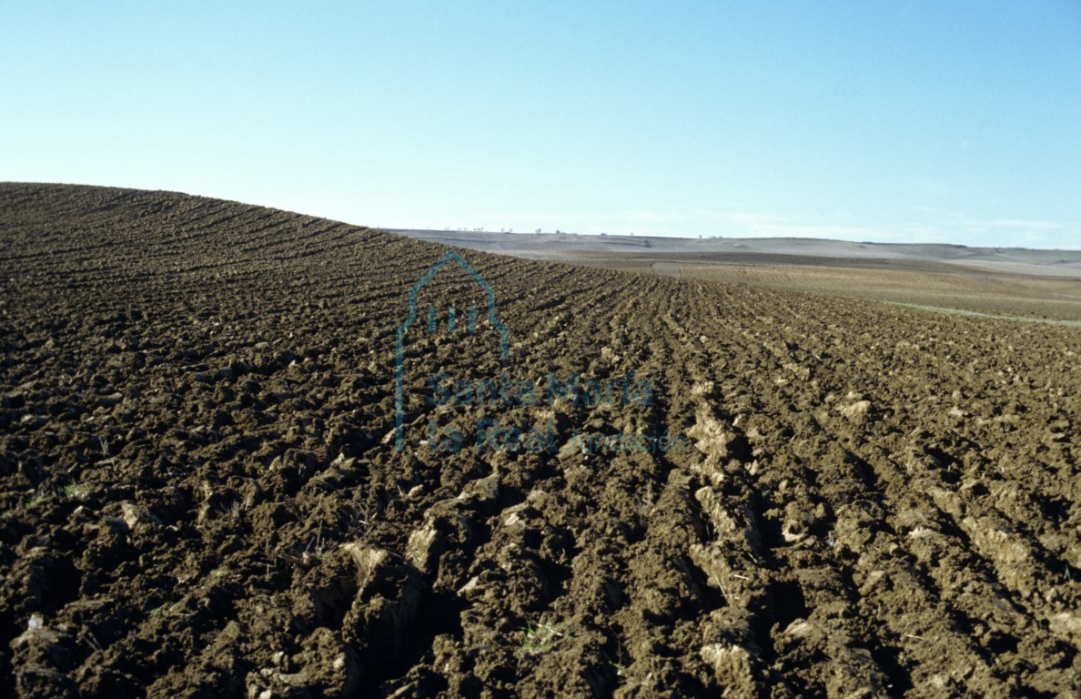 Paisaje: campo en barbecho