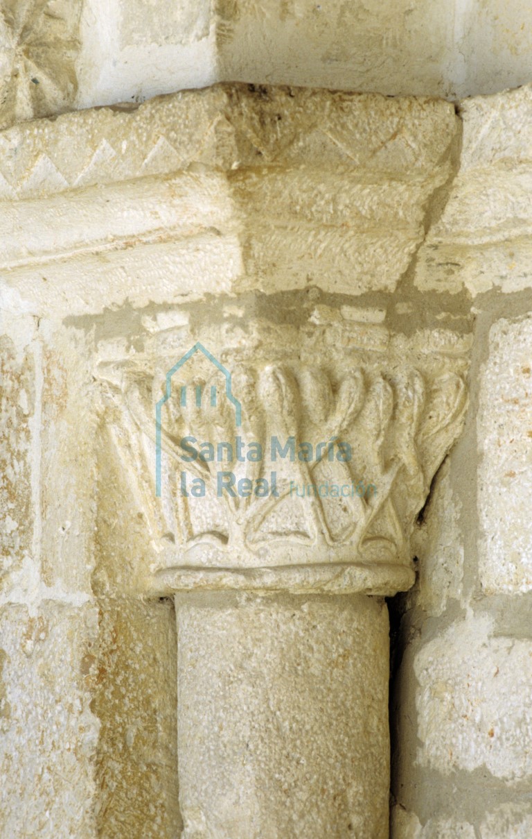 Capitel del lado izquierdo de la portada meridional. Motivos vegetales: tallos entrelazados de cuyo extremo nacen pequeños frutos elipsoides