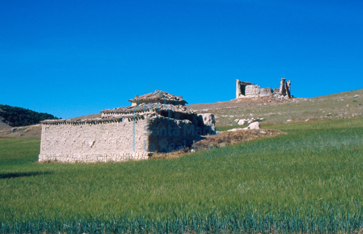 Vista general de dos palomares próximos a San Cebrián de Mazote