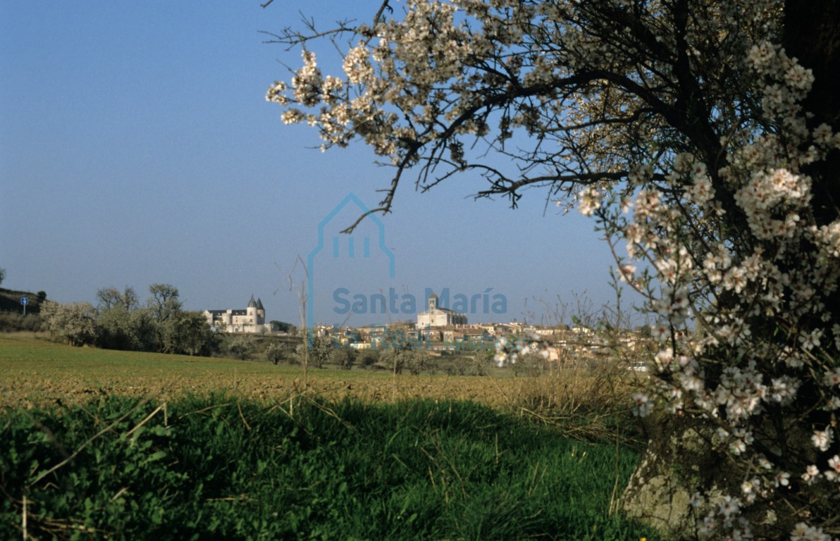 Panorámica de Simancas