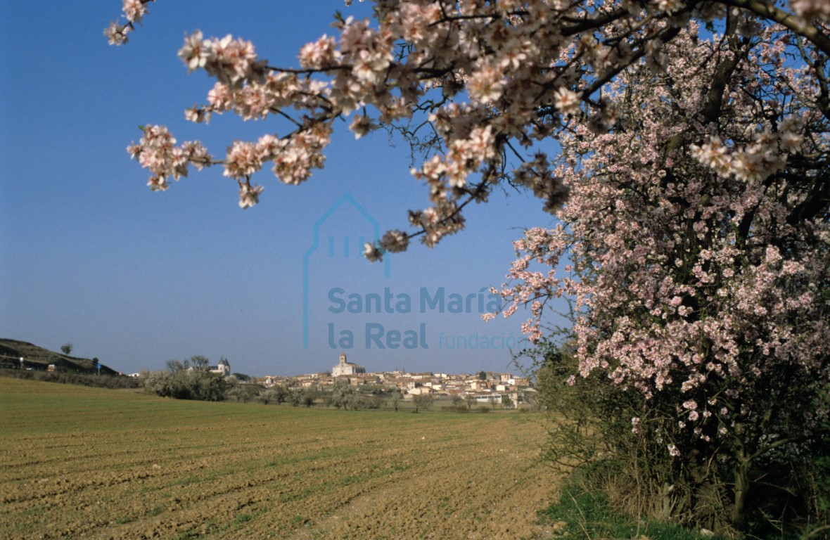 Panorámica de Simancas