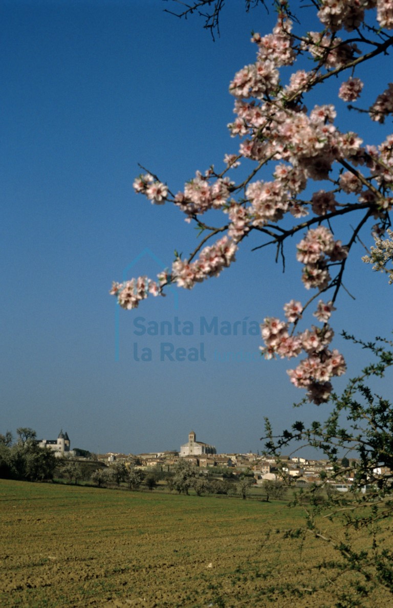 Panorámica de Simancas