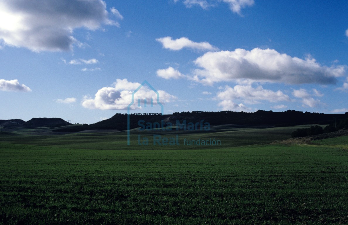 Paisaje: campos sembrados