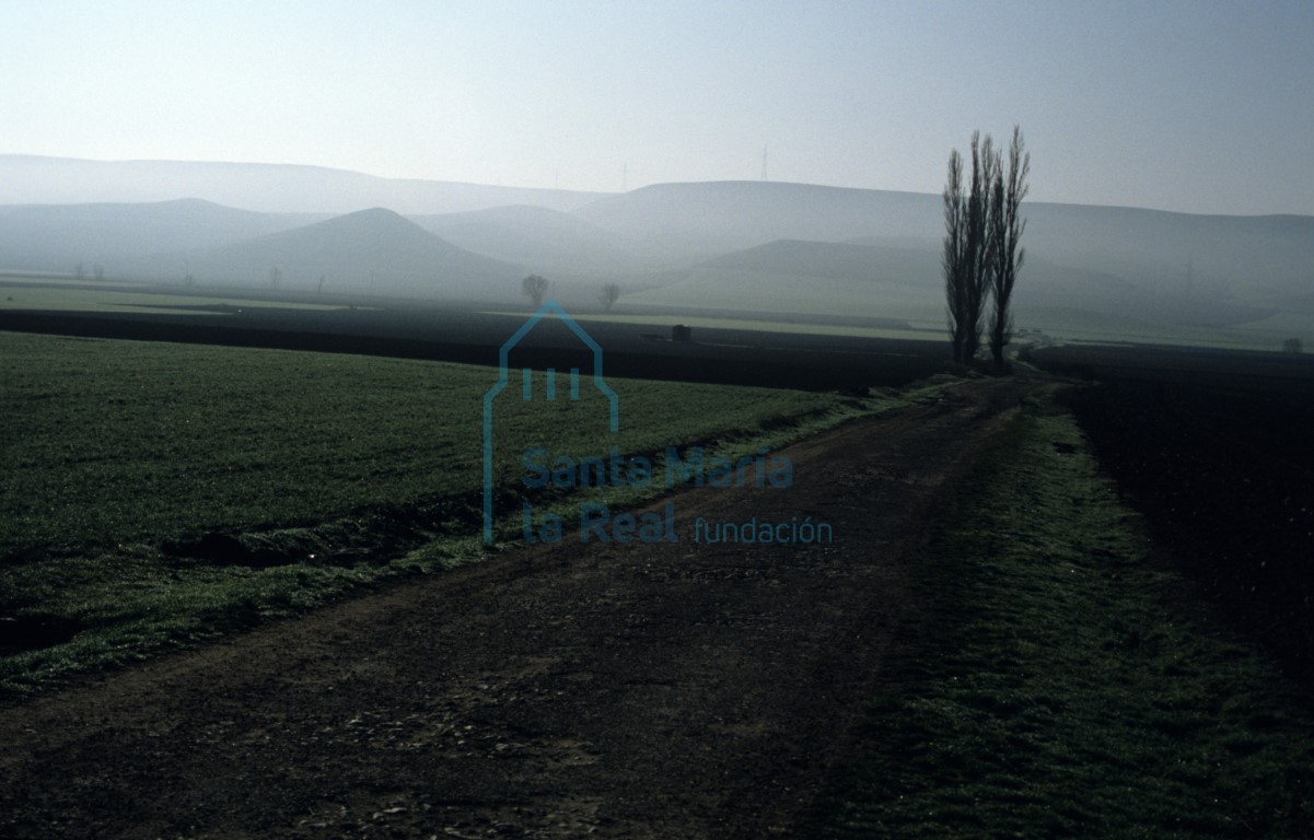 Paisaje de invierno con niebla