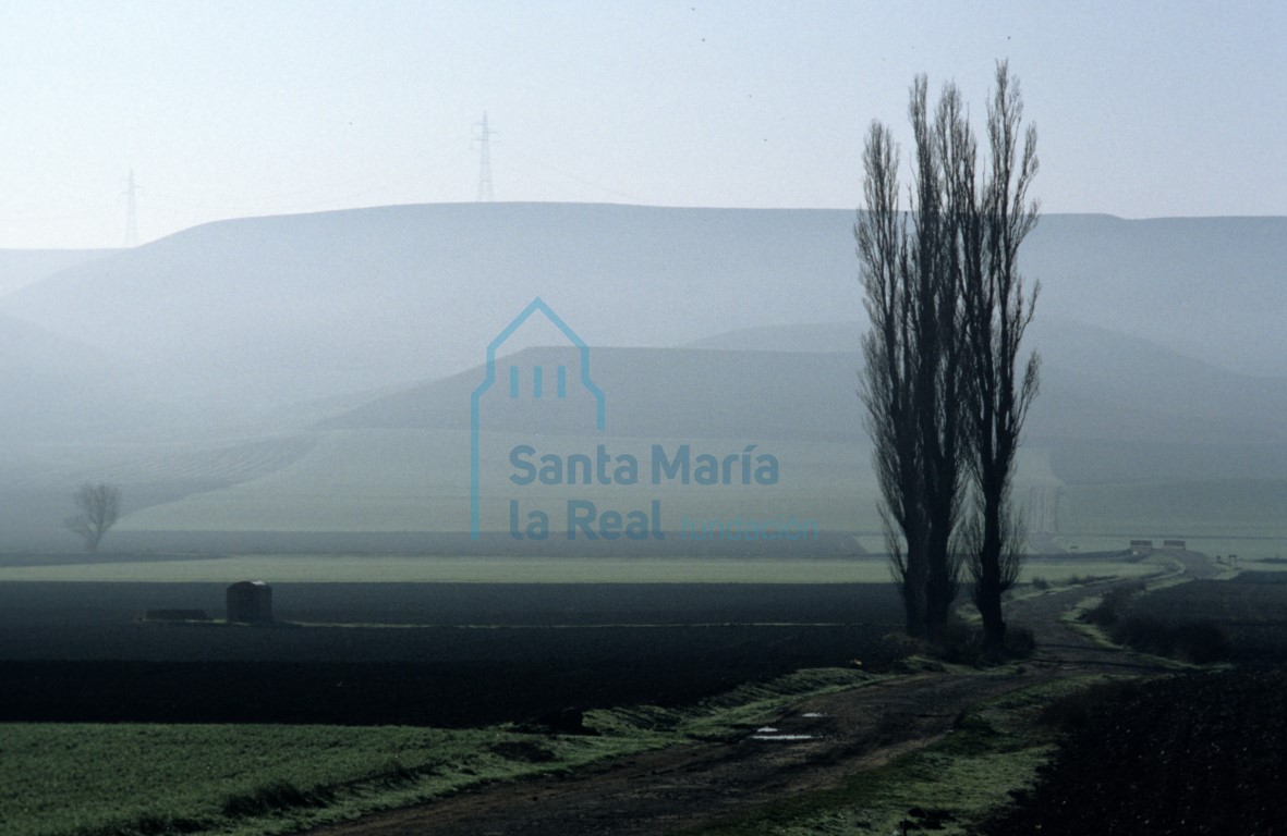 Paisaje de invierno con niebla