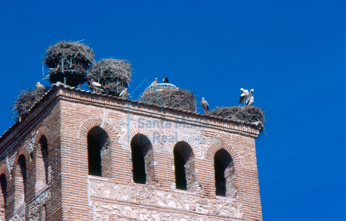 Ventanas del cuerpo superior de la torre