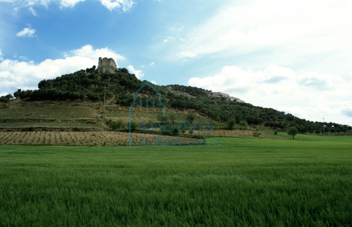 Paisaje: campo de cereales y cerros