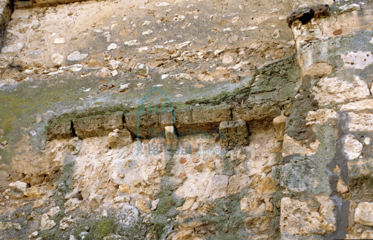 Canecillos del muro norte